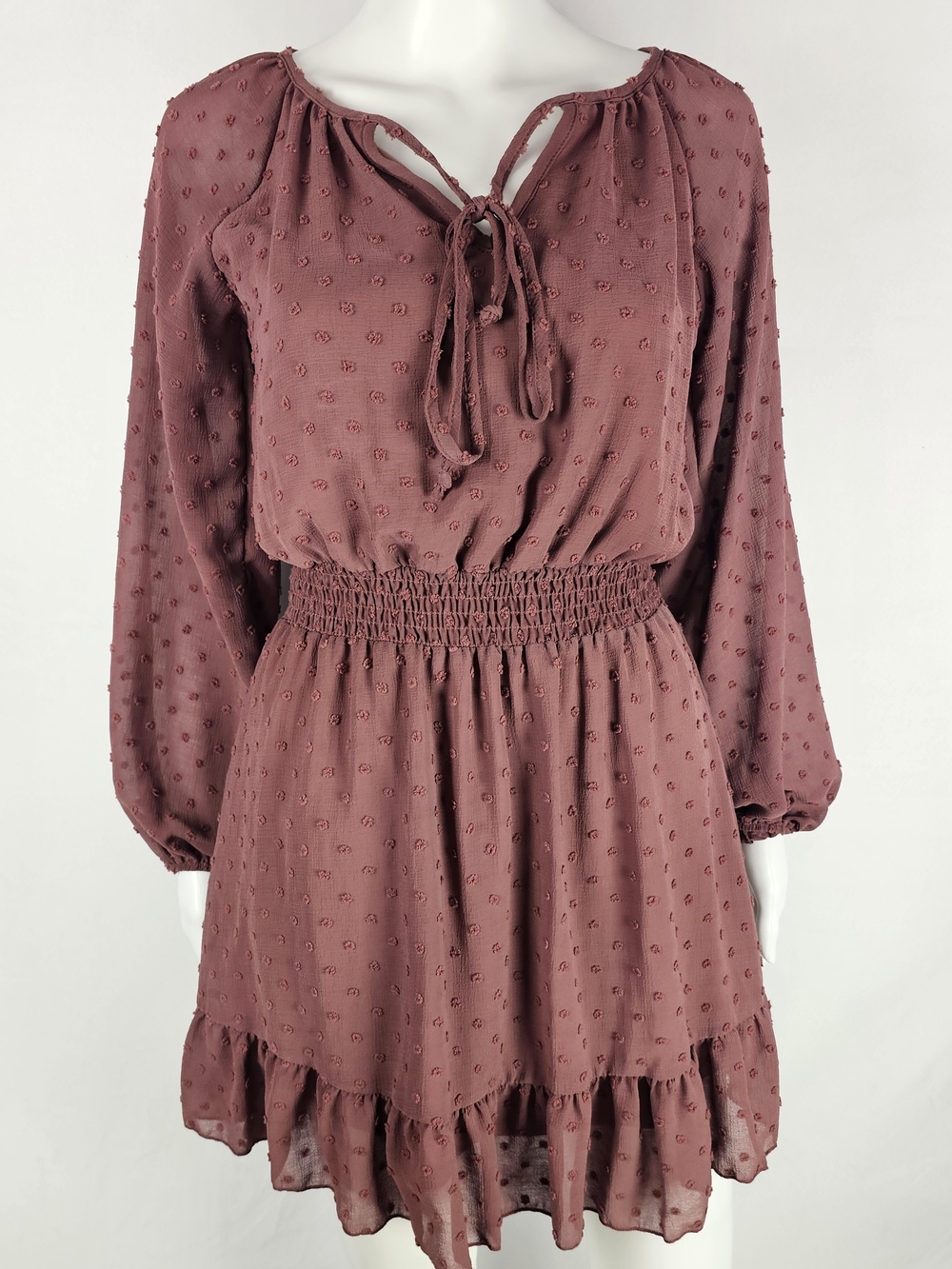 Altar'd State Dusty Rose Long-Sleeve Tie-Neck Smocked-Waist Dress